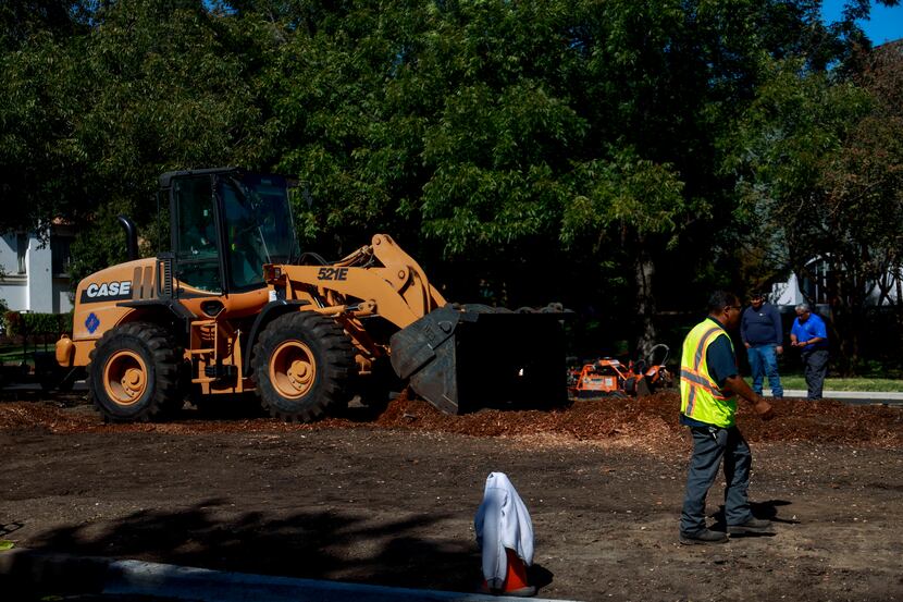 Construction workers remove the remainder of Highland Park's 150 year-old pecan tree on...