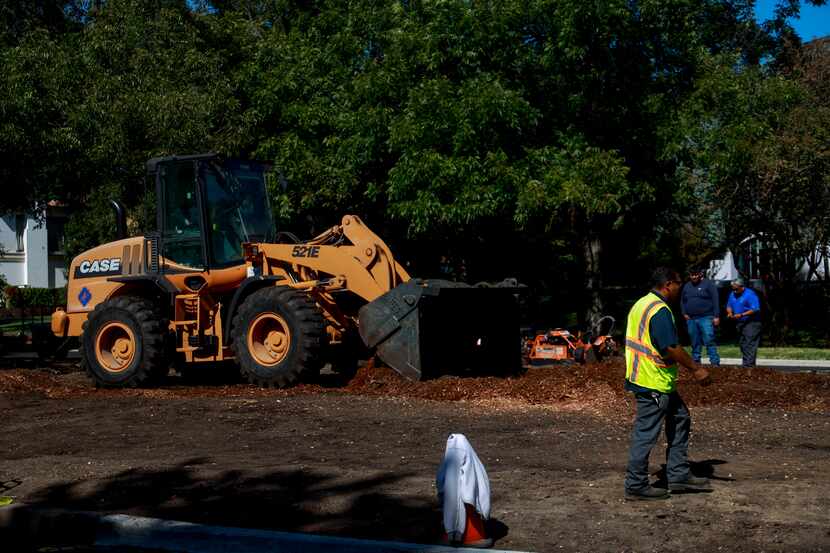 Construction workers remove the remainder of Highland Park's 150 year-old pecan tree on...