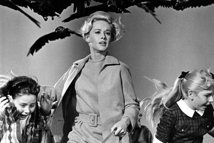 Hitchcocktober will begin its run this month with Tippi Hedren in Alfred Hitchcock's "The...