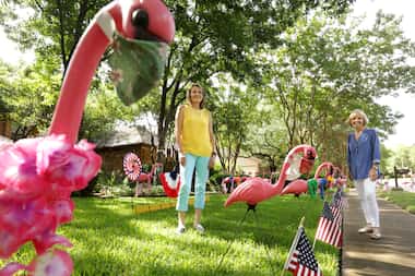 Annette Hansen (left) and Joanie Moi create displays with plastic flamingos placed outside...