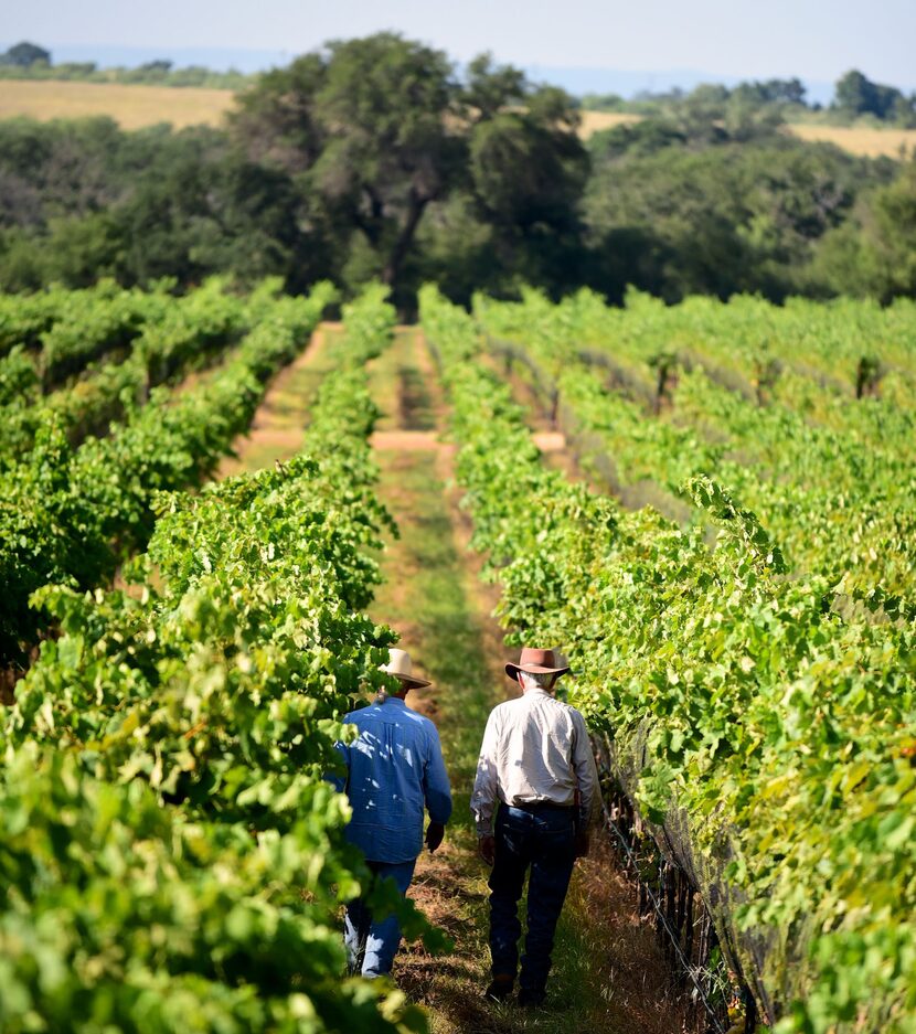 Bill Blackmon (left) of William Chris Wines walks through Parr Vineyards.