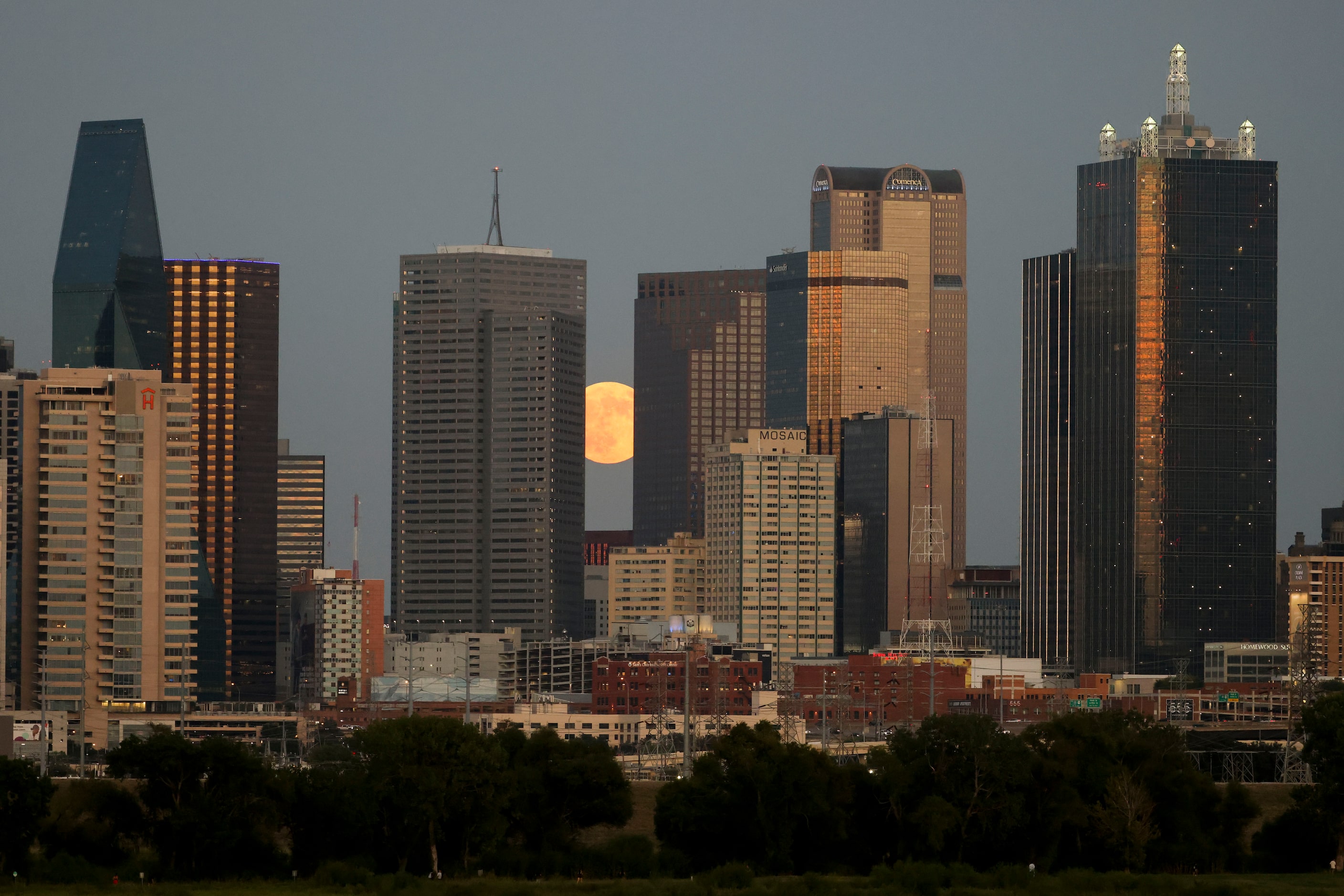 A full super harvest moon rises behind the Dallas skyline, on Tuesday, Sept. 17, 2024. 