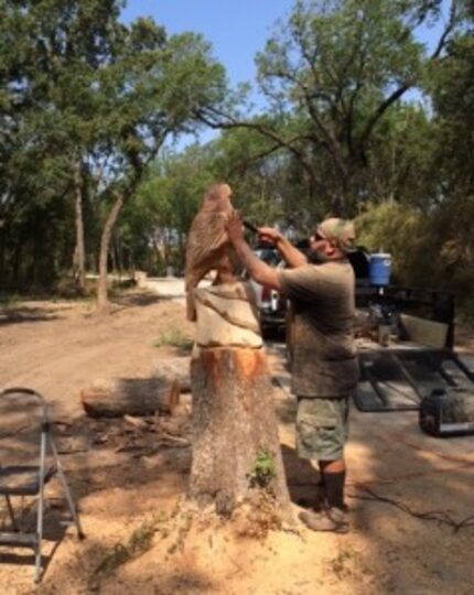  Look out for Rob Banda's hawk and other carvings along the new part of Campion Trail. 