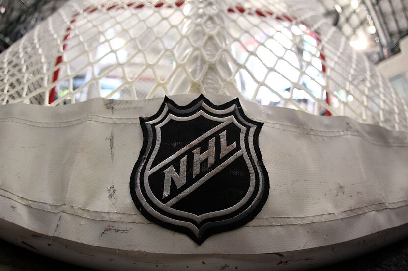 DALLAS - APRIL 08:  An NHL logo on a goal at American Airlines Center on April 8, 2010 in...