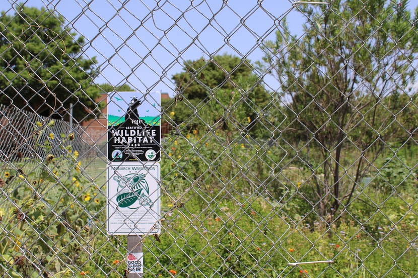 The Park Crest Elementary School garden will remain closed for at least 90 days. (Sophie...