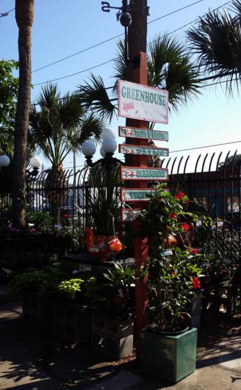 
Tom's Thumb Nursery & Landscaping in Galveston 
