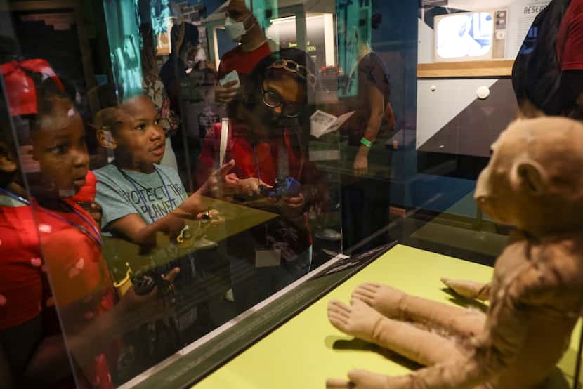Third graders from Hamilton Park Pacesetter Magnet Elementary School look at Jane Goodall’s...