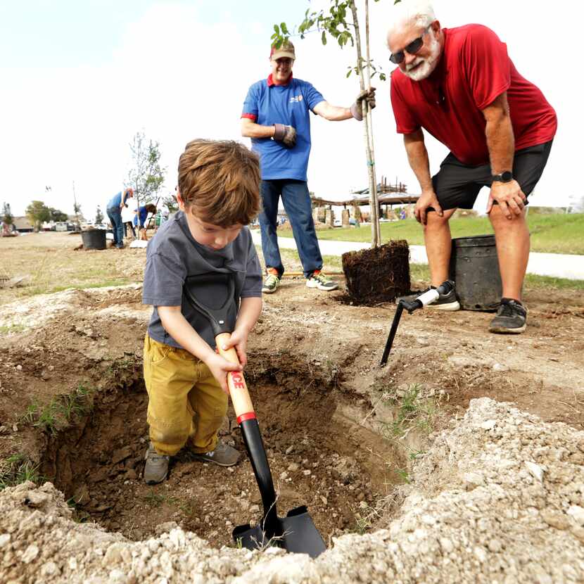 4-year-old Raf Littke helps to plant a tree at White Rock Hills Park in Far East Dallas Oct....