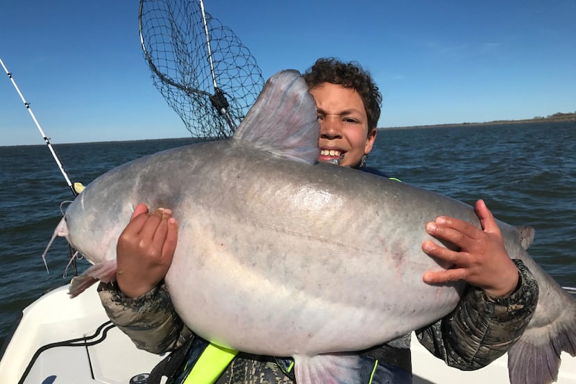 Dylan Smith, 10, of Dallas, caught this 54 1/2-pound blue catfish from Lake 
Tawakoni. The...