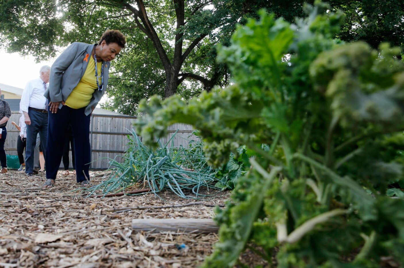 Congresswoman Barbara Lee (CA-13) checks out some of the plants grown at Bonton Farms during...