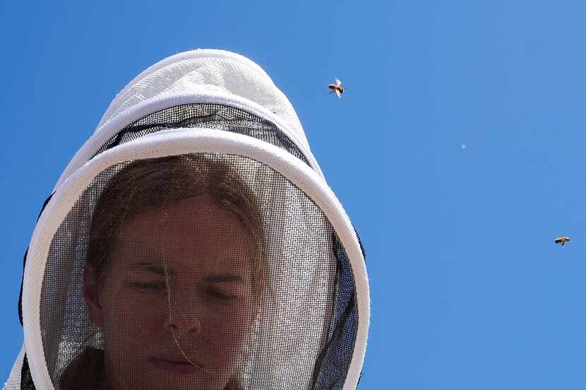 Eve Gersh, UTD Bee Campus USA Eco Rep, performed a hive inspection as part of the Bee Campus...