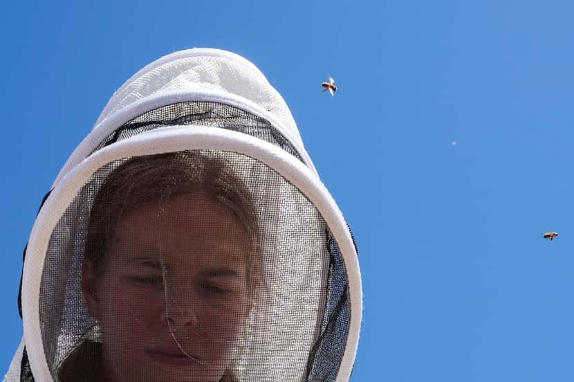 Eve Gersh, UTD Bee Campus USA Eco Rep, performed a hive inspection as part of the Bee Campus...