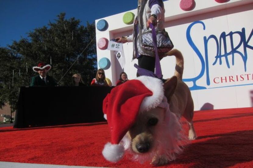 
The Hilton Anatole’s Sparkle! celebration will have doggy Christmas costume contests on...