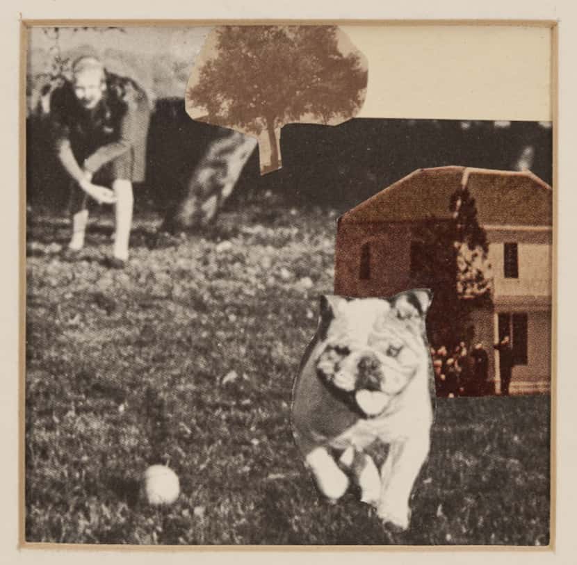 Roger Winter Bulldog, 1968, photo montage,