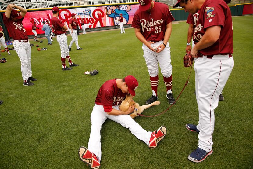 Frisco RoughRiders player Drew Robinson (seated) plays with Brooks, the team dog, before a...