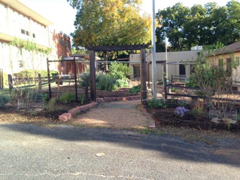 
Earlier this year, the Sanger Garden received some improvements. The space, said PTA...