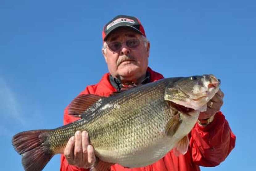 Richard Scibek of Granbury caught this ShareLunker in February 2013. The Lake Fork fish...