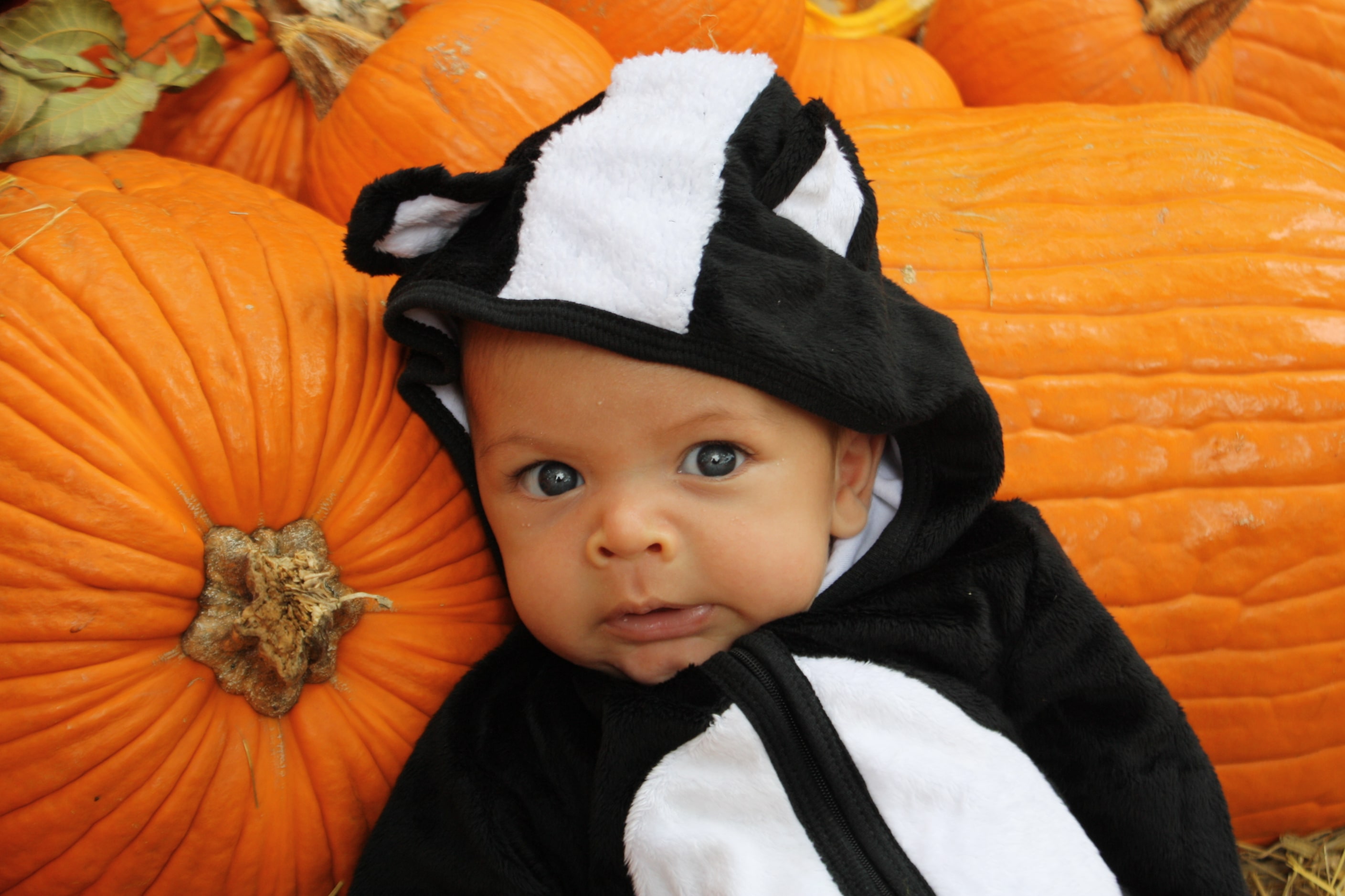 Natalie O'Dell photographs her "little stinker" at a local pumpkin patch. 