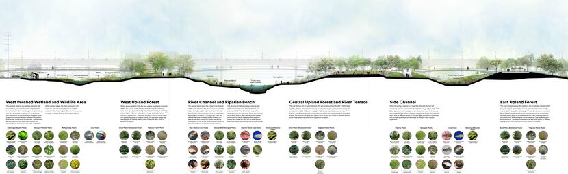 Plans for a park inside the Trinity River levees as shown Tuesday, Dec. 4, 2018. The Trinity...
