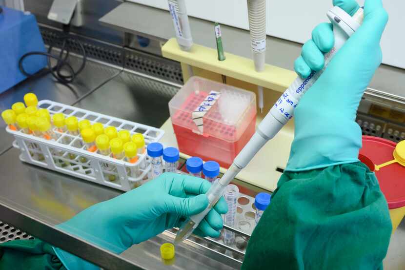 Laboratory employees perform tests to determine the presence of the coronavirus.