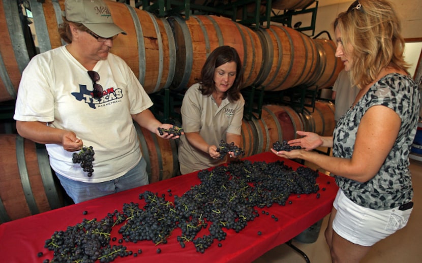 Lisa Kocsis (center) showed Lee Hill of Melissa and Kristine Edens of Dallas how to sort...