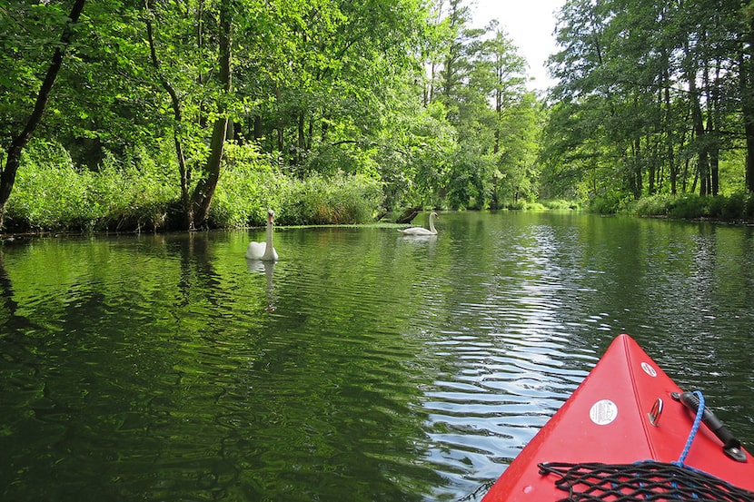 Kayaking on one of the tributaries in the Spreewald. 