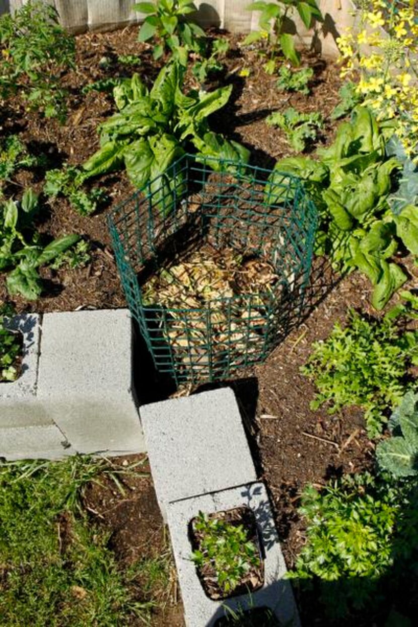 
A keyhole garden built by master gardener Annette Beadles and her students is 6 feet in...