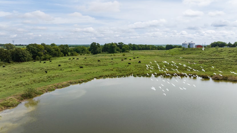 The 5,400-acre South Creek Ranch is located about 20 miles south of downtown Dallas near...