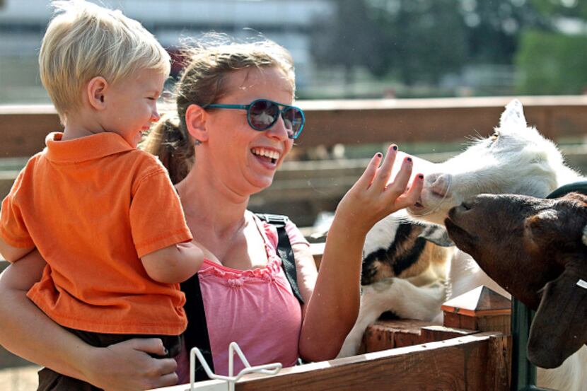 Valerie Falconer of McKinney and son Todd, 3, fed goats oats from a cup at Owens Farms in...