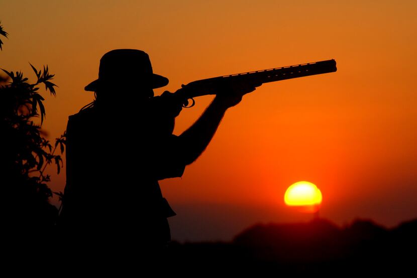 Texas has an an army of dove hunters numbering upwards of 400,000, and many of them will be...