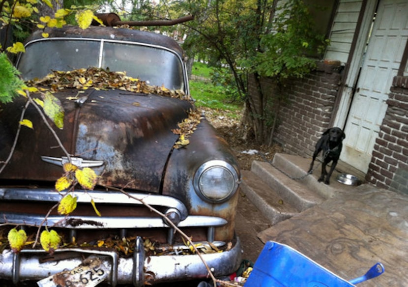 Un perro atado con una cadena de metal afuera de una casa en Dallas, en noviembre 2013. (Guy...