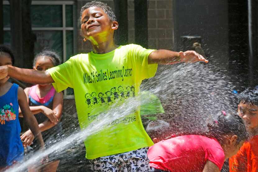 Armanii Villifan disfruta mojándose en una fuente de agua en el Dallas Zoo, el jueves 19 de...