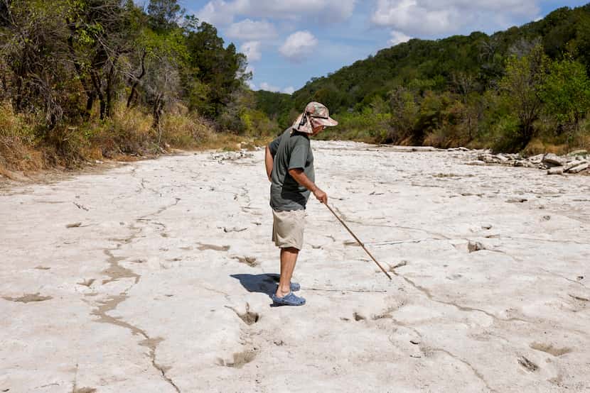 Dinosaur track researcher Glen Kuban points out various dinosaur tracks in the Paluxy River...