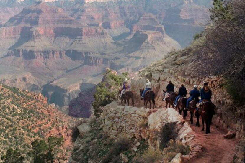 
Bright Angel Trail  offers great views at Grand Canyon National Park, with day hikes to the...