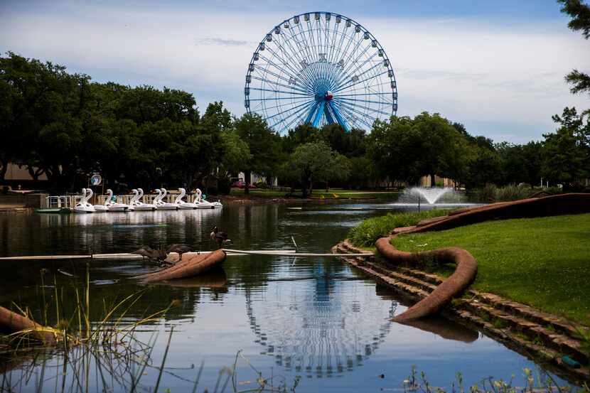 The Texas Star Ferris wheel towers over Leonhardt Lagoon where the swan boats are at Fair...