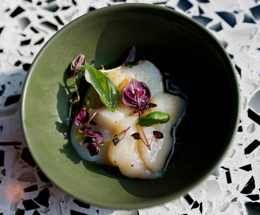 The scallop crudo 