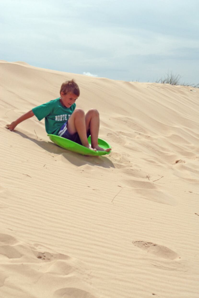 Kids love "surfing" on the huge dunes in Monahans Sandhills State Park.