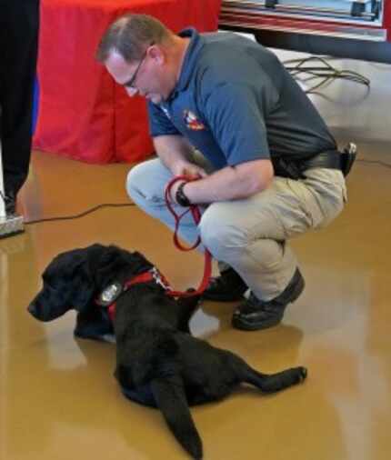  Fire Prevention Officer Jason Bolejack and Ziva, the accelerant-detecting dog, gets her...