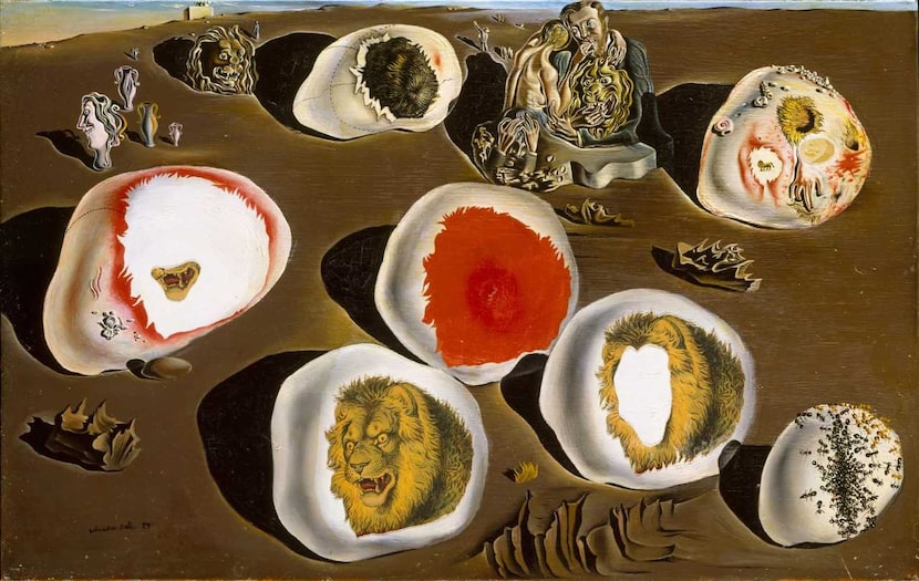 The Accommodations of Desire is included in the Salvador Dalí exhibition at the Meadows...