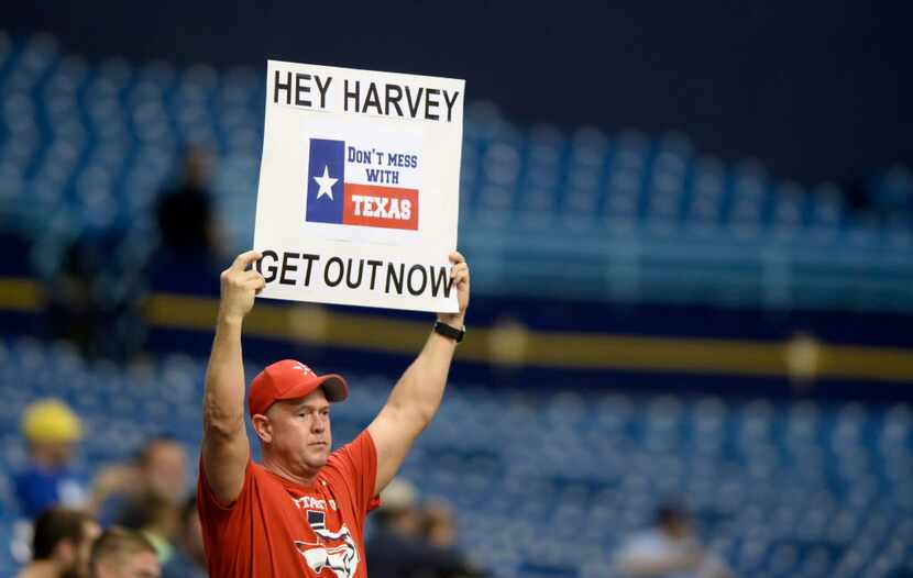 ST. PETERSBURG, FL - AUGUST 29:  A fan shows his support for Houston during the Texas...