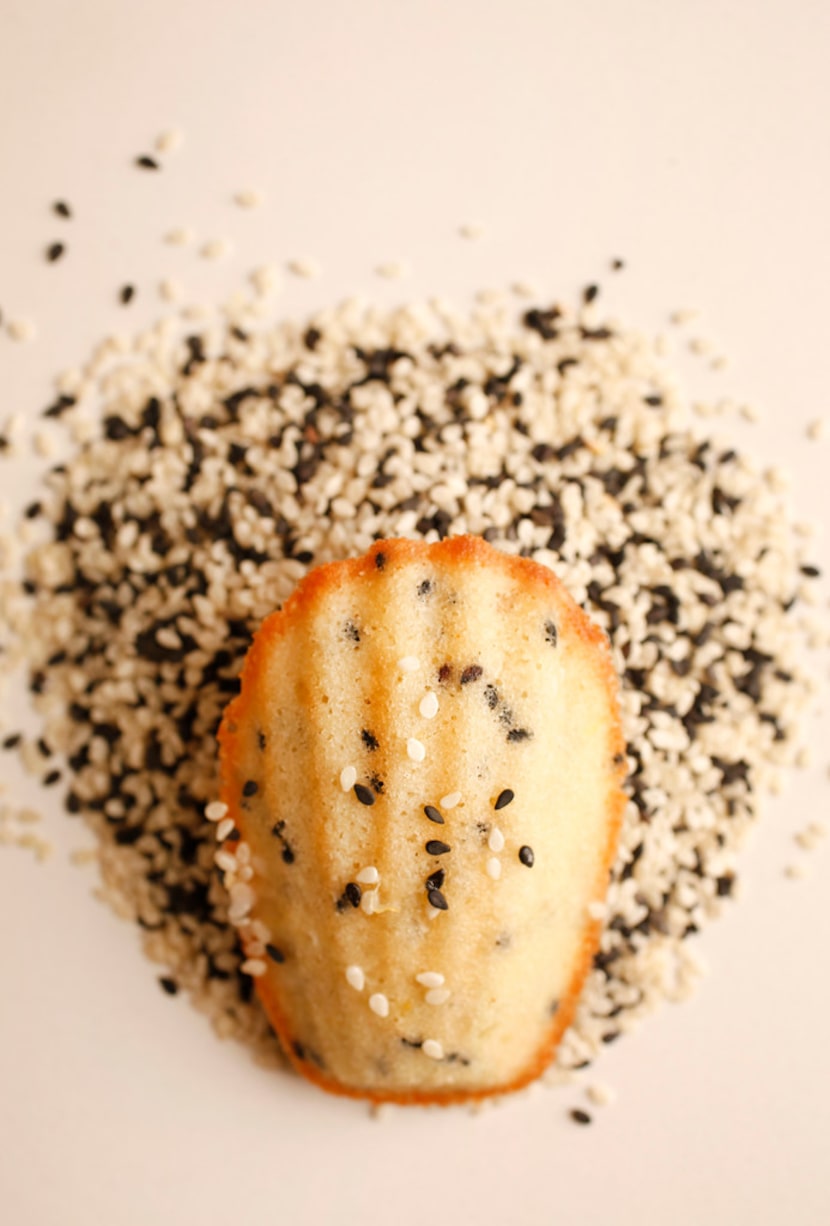 Tuxedo sesame seed madeleine 