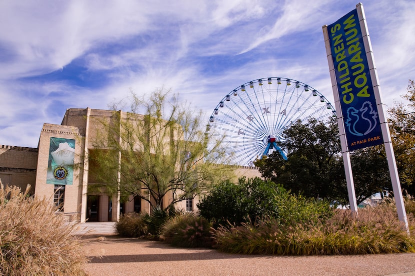 The Children’s Aquarium at Fair Park evokes fond memories from many Dallas residents who...