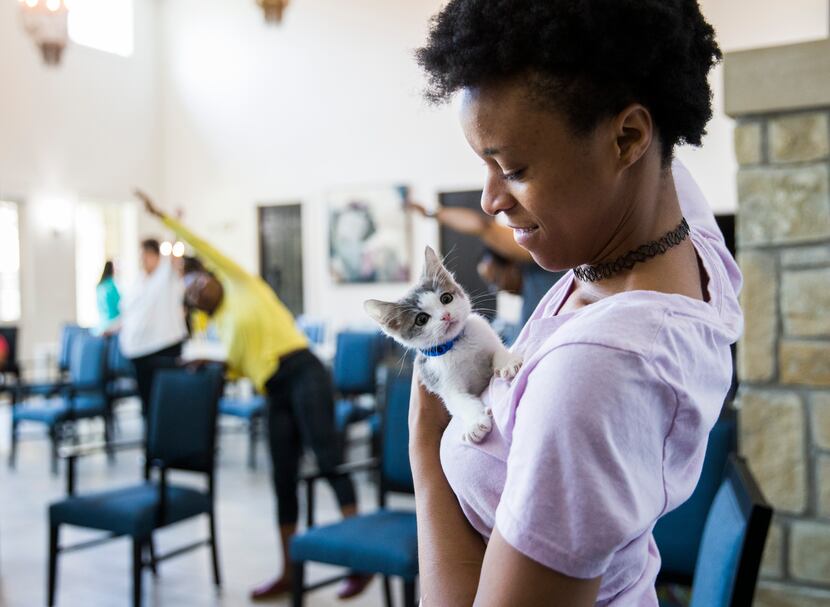 Keeiona Burnett (right) held a kitten during the yoga class. Grand Prairie Animal Services...