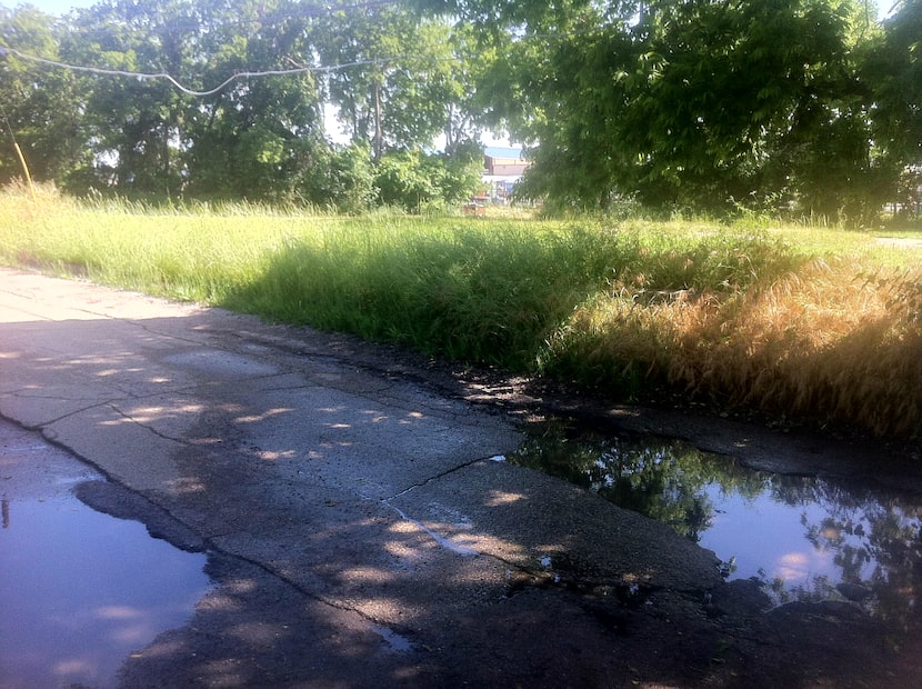  Hey, you can see Fair Park from some State Fair of Texas-owned land on Fleetwood Street!...