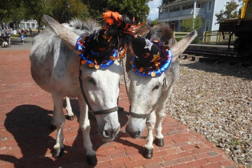 
Nip and Tuck have new hats for Sunday’s Howl-o-ween at Old City Bark party.
