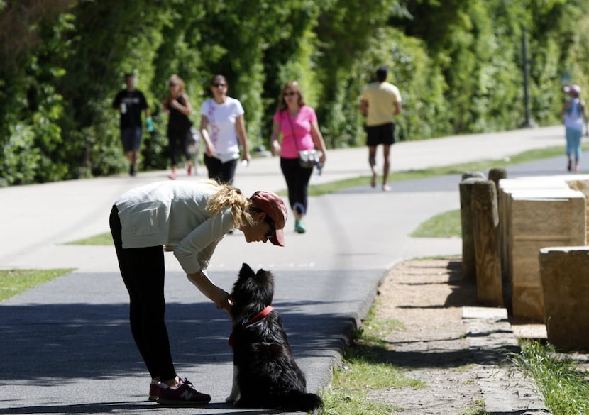 Monica Chavez, 32, praises her dog Enzo for not barking at a passing rollerblader during...