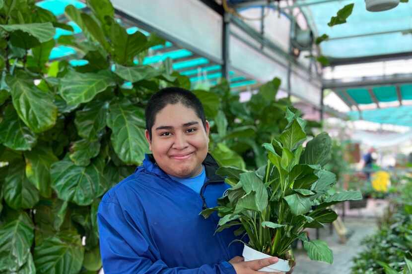 Ruibal’s Plants of Texas nursery employs Juan, a Notre Dame School of Dallas student with...