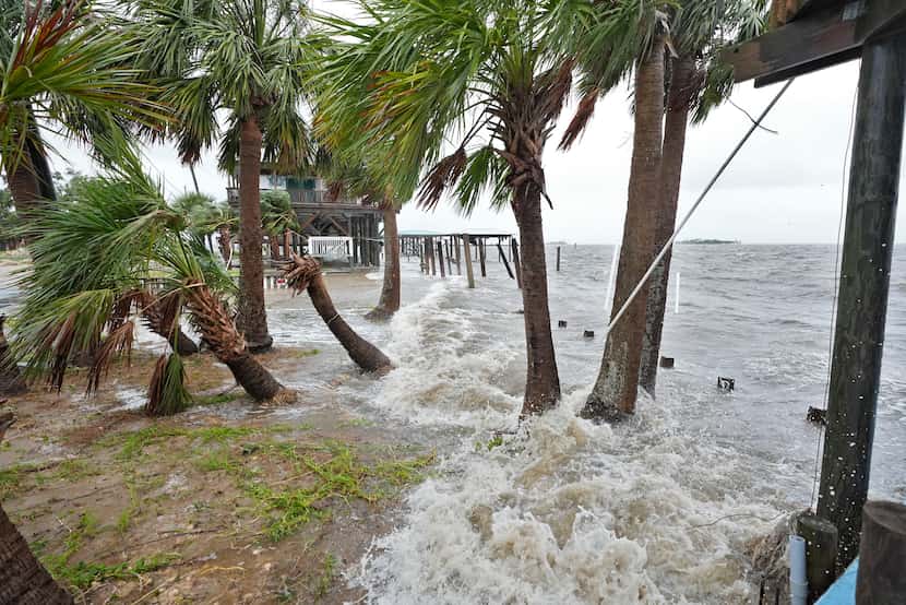 Storm surge pushes water past wind swept palm trees along the Gulf of Mexico, Monday, Aug....