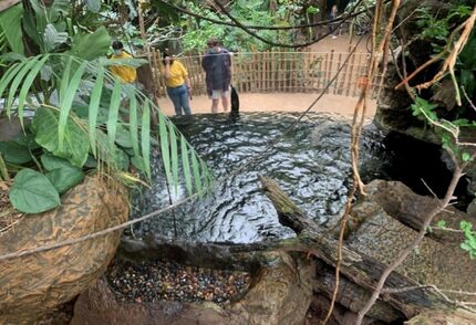 This image shows where the Jorgensen family was standing at the time of the otter attack.