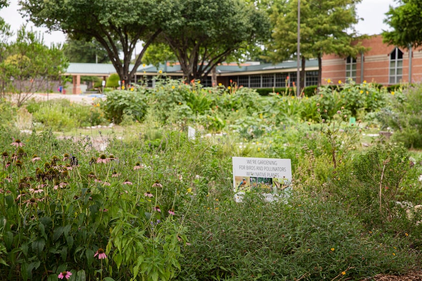 The school garden at Parkcrest Elementary School photographed on Monday, July 12, 2021, in...